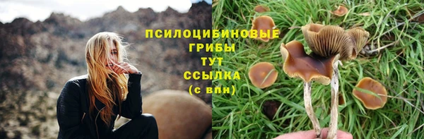 МДМА Беломорск
