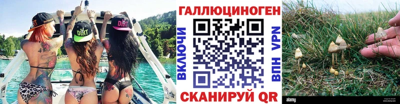 Галлюциногенные грибы мицелий  Купить закладки  Стрежевой 